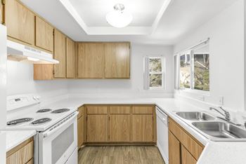 Gourmet kitchen